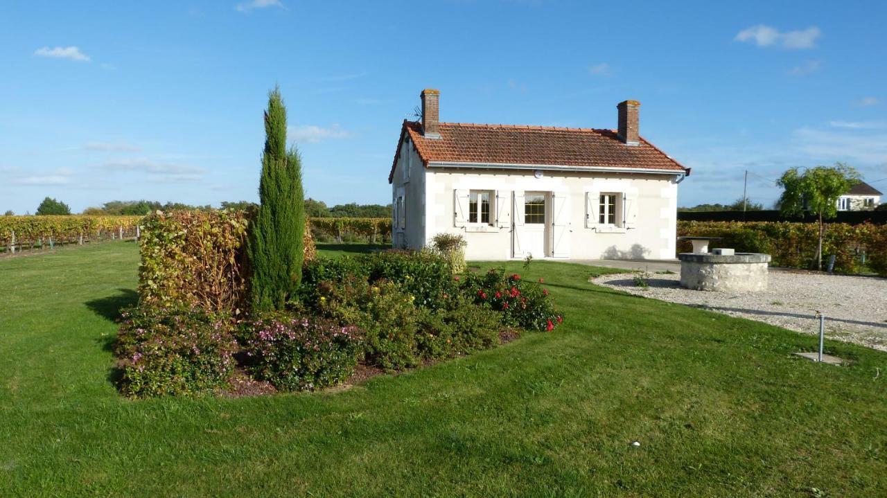 L'Ecrin Au Coeur Des Vignes Villa แซ็งต์-จอร์จ-ซูร์-แชร์ ภายนอก รูปภาพ